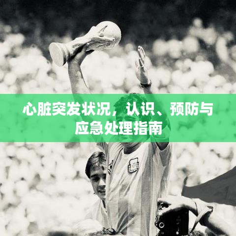 心臟突發(fā)狀況，認(rèn)識(shí)、預(yù)防與應(yīng)急處理指南