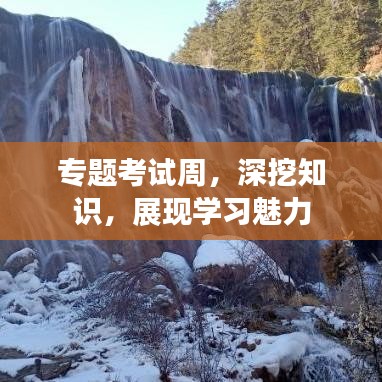 專題考試周，深挖知識(shí)，展現(xiàn)學(xué)習(xí)魅力