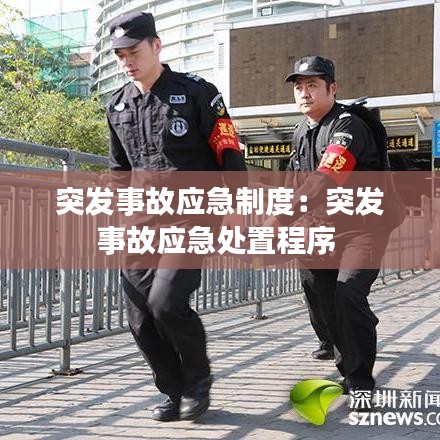 突發(fā)事故應急制度：突發(fā)事故應急處置程序 