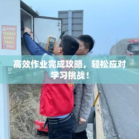 高效作業(yè)完成攻略，輕松應(yīng)對(duì)學(xué)習(xí)挑戰(zhàn)！