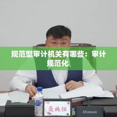 規(guī)范型審計機關(guān)有哪些：審計規(guī)范化 