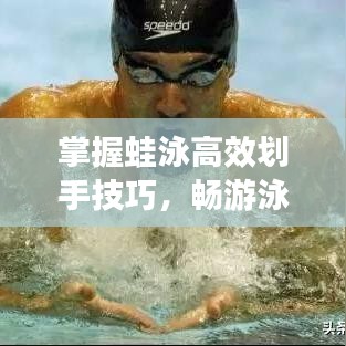 掌握蛙泳高效劃手技巧，暢游泳池?zé)o界限