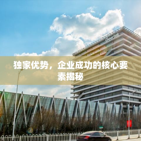 獨(dú)家優(yōu)勢(shì)，企業(yè)成功的核心要素揭秘