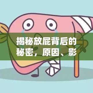 揭秘放屁背后的秘密，原因、影響與應(yīng)對方法