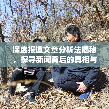 深度報(bào)道文章分析法揭秘，探尋新聞背后的真相與價(jià)值內(nèi)幕