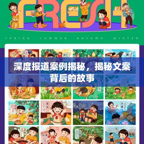 深度報(bào)道案例揭秘，揭秘文案背后的故事