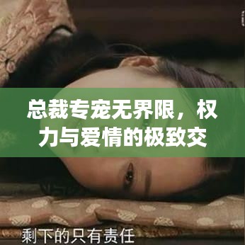 總裁專寵無界限，權(quán)力與愛情的極致交融