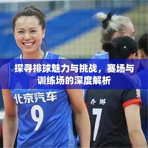 探尋排球魅力與挑戰(zhàn)，賽場(chǎng)與訓(xùn)練場(chǎng)的深度解析