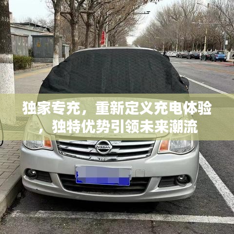 獨(dú)家專充，重新定義充電體驗(yàn)，獨(dú)特優(yōu)勢(shì)引領(lǐng)未來潮流