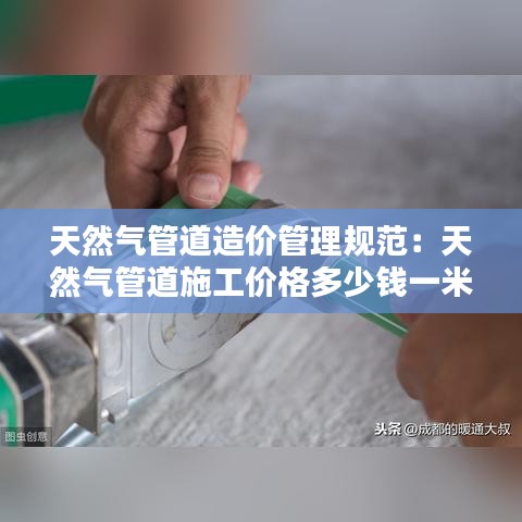 生張熟魏 第3頁(yè)