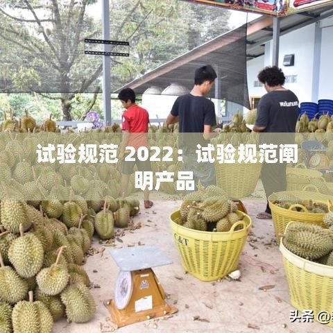 試驗規(guī)范 2022：試驗規(guī)范闡明產(chǎn)品 
