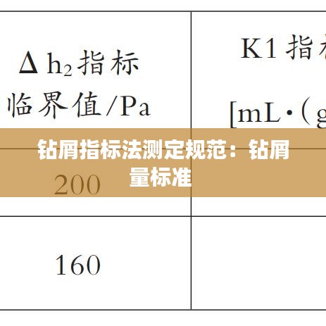 鉆屑指標法測定規(guī)范：鉆屑量標準 