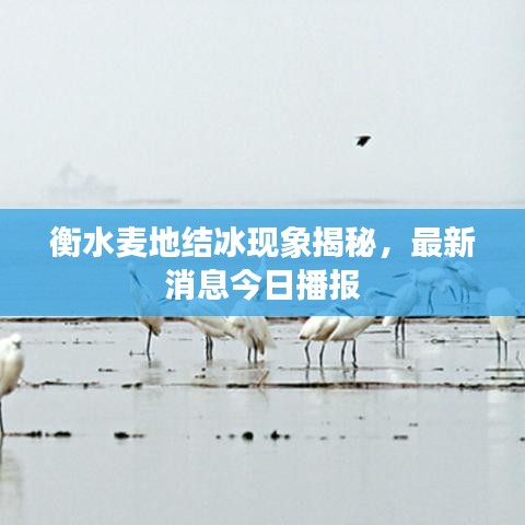 落落大方 第3頁(yè)