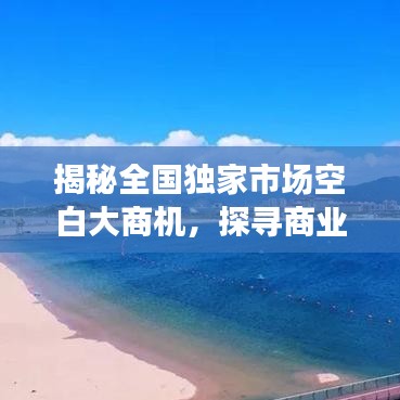 揭秘全國獨家市場空白大商機，探尋商業(yè)新藍海，開啟財富大門！