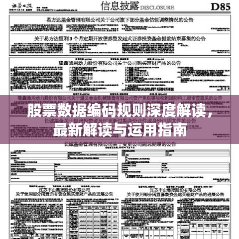 股票數(shù)據(jù)編碼規(guī)則深度解讀，最新解讀與運用指南
