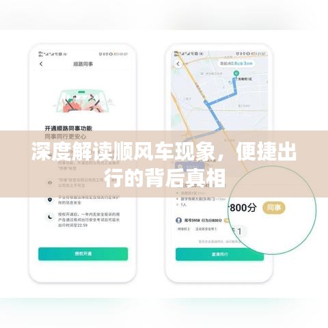 深度解讀順風(fēng)車(chē)現(xiàn)象，便捷出行的背后真相