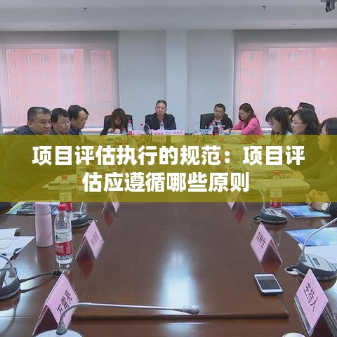 項目評估執(zhí)行的規(guī)范：項目評估應(yīng)遵循哪些原則 