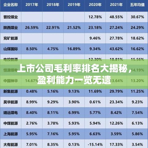 上市公司毛利率排名大揭秘，盈利能力一覽無遺
