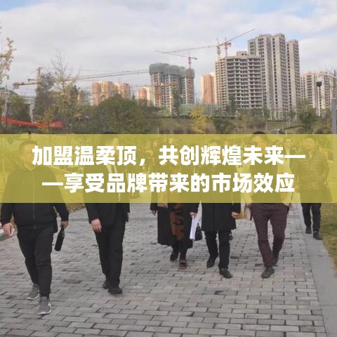 加盟溫柔頂，共創(chuàng)輝煌未來，品牌市場(chǎng)效應(yīng)等你來享