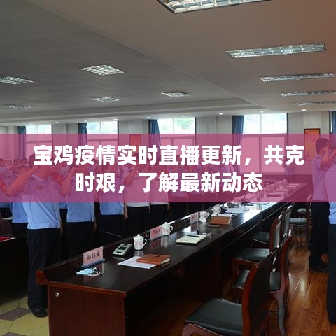 寶雞疫情實(shí)時(shí)直播更新，共克時(shí)艱，了解最新動(dòng)態(tài)