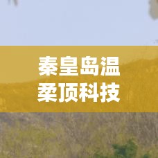 秦皇島溫柔頂科技榮獲創(chuàng)新獎(jiǎng)，引領(lǐng)行業(yè)潮流，鑄就典范地位