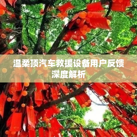 溫柔頂汽車救援設備用戶反饋詳解