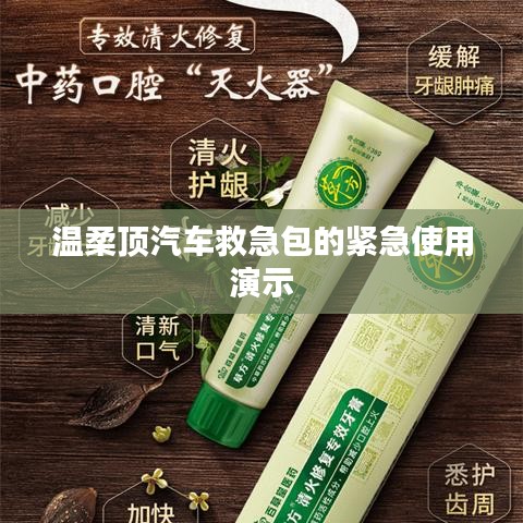 溫柔頂汽車救急包緊急使用指南，演示篇