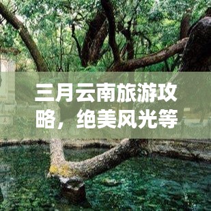 三月云南旅游攻略，絕美風光等你來探！