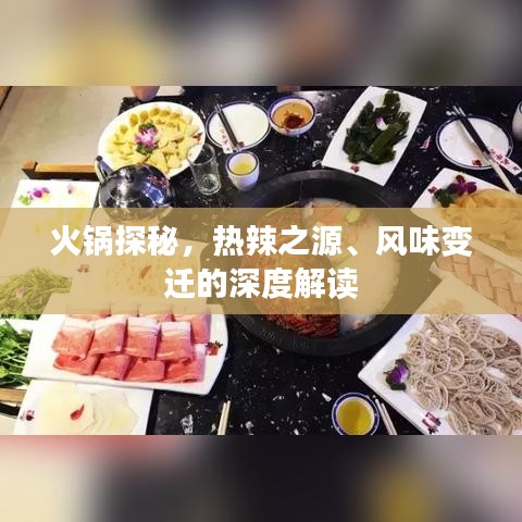 綱挈目張 第3頁(yè)