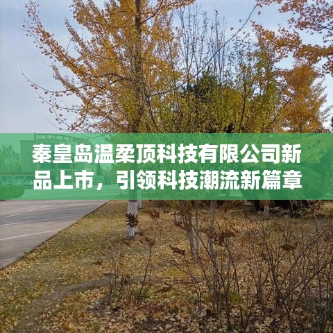 新品發(fā)布