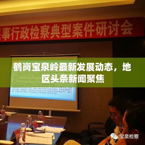 鶴崗寶泉嶺最新發(fā)展動(dòng)態(tài)，地區(qū)頭條新聞聚焦