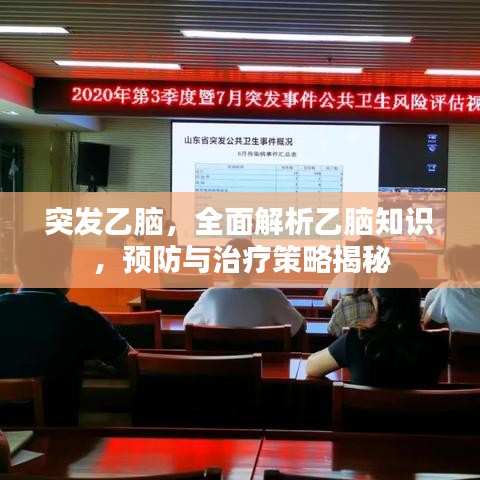 突發(fā)乙腦，全面解析乙腦知識，預防與治療策略揭秘