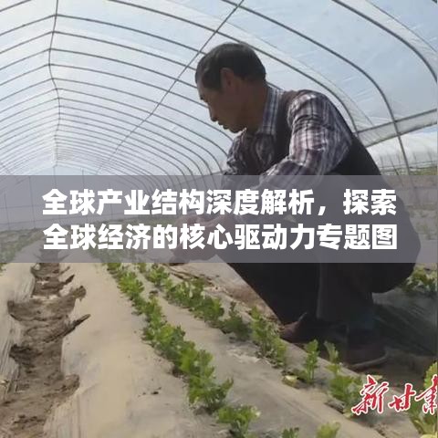 全球產(chǎn)業(yè)結(jié)構(gòu)深度解析，探索全球經(jīng)濟(jì)的核心驅(qū)動(dòng)力專題圖書