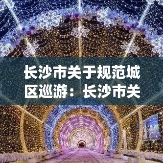長沙市關(guān)于規(guī)范城區(qū)巡游：長沙市關(guān)于規(guī)范城區(qū)巡游管理辦法 