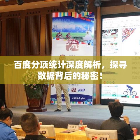 百度分項統(tǒng)計深度解析，探尋數(shù)據(jù)背后的秘密！