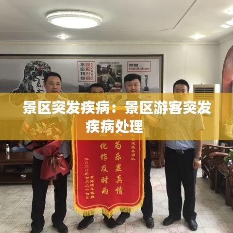 景區(qū)突發(fā)疾?。壕皡^(qū)游客突發(fā)疾病處理 
