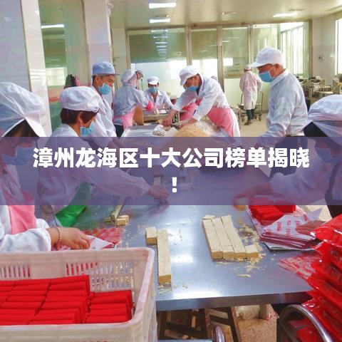 漳州龍海區(qū)十大公司榜單揭曉！