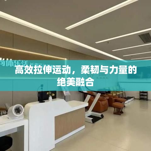 高效拉伸運(yùn)動(dòng)，柔韌與力量的絕美融合