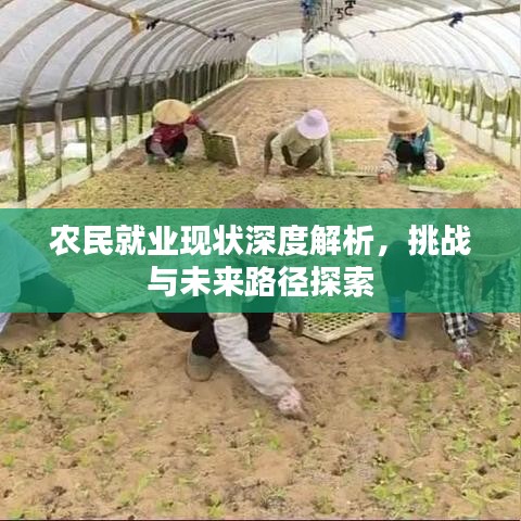 農(nóng)民就業(yè)現(xiàn)狀深度解析，挑戰(zhàn)與未來(lái)路徑探索