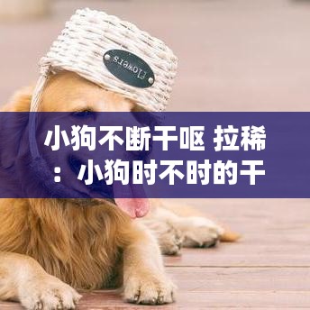 小狗不斷干嘔 拉?。盒」窌r(shí)不時(shí)的干嘔但吃喝拉撒正常 