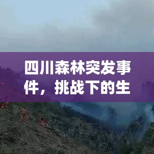四川森林突發(fā)事件，挑戰(zhàn)下的生態(tài)守護(hù)與保護(hù)重要性