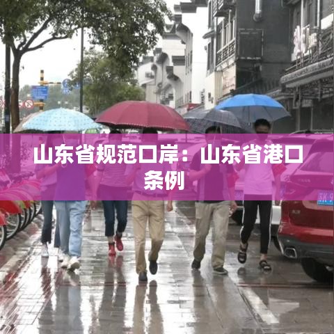 山東省規(guī)范口岸：山東省港口條例 