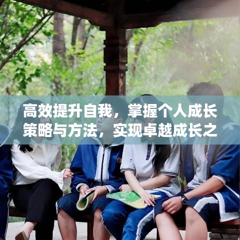 高效提升自我，掌握個(gè)人成長(zhǎng)策略與方法，實(shí)現(xiàn)卓越成長(zhǎng)之路