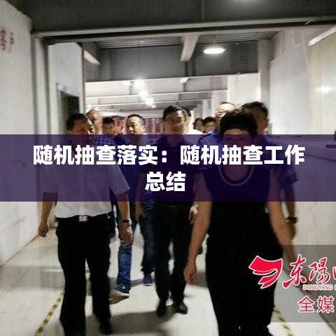 隨機抽查落實：隨機抽查工作總結 