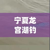 寧夏龍宮湖釣魚秘籍，最新攻略全解析！