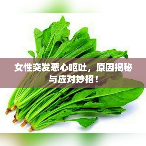女性突發(fā)惡心嘔吐，原因揭秘與應(yīng)對妙招！