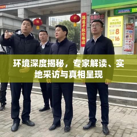 環(huán)境深度揭秘，專家解讀、實(shí)地采訪與真相呈現(xiàn)