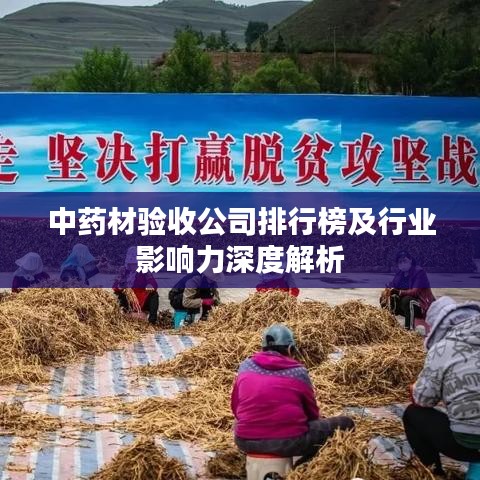 中藥材驗(yàn)收公司排行榜及行業(yè)影響力深度解析