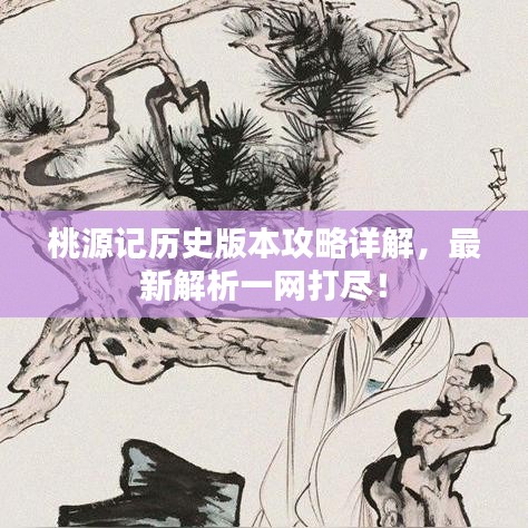 桃源記歷史版本攻略詳解，最新解析一網(wǎng)打盡！