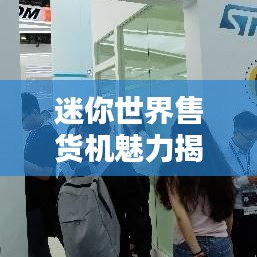 迷你世界售貨機(jī)魅力揭秘，排名與探索微型售貨機(jī)的無限魅力